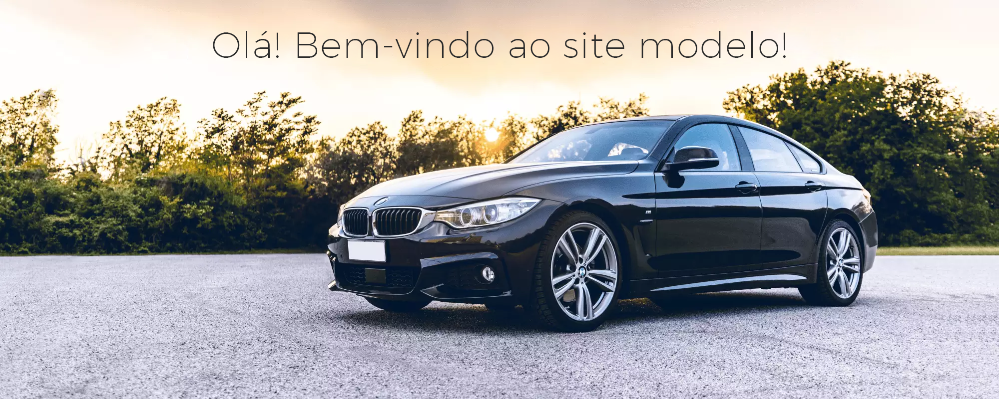 banner do site